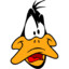 daffy_duck