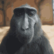 Denys Cherkasov avatar