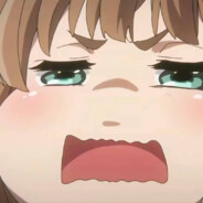 叱咤月海鱼鱼猫