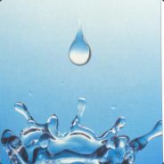 Des organes qui jouent a cache