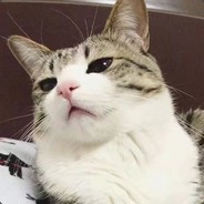 快给我拉枪线 :)