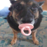 razvan.sirbu9 - steam id 76561199798654916