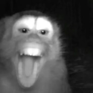 UUAAUUA