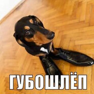 _ГУБОШЛЁП_