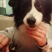 Bacon & Eggs on Legs