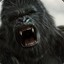 KING KONG-