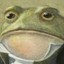 Sir Frog