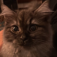 cedar creek employee