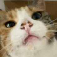 跟人类社会合不来