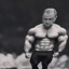 Musculer TERIM