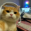 FlameWhisker