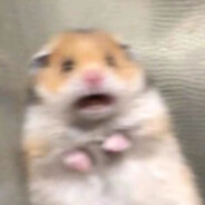 她才七岁怎么压抢