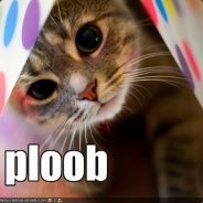 ploob - steam id 76561197961825801