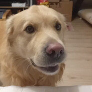 JohnRoblox der KaffeeMeister™