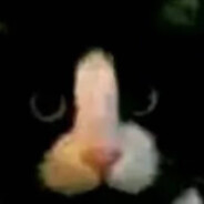 超绝劲！霸！耄耋