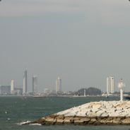FREEINGTONE