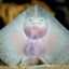 ♂StinGrAY♂