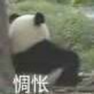 今天偷到猫了吗