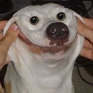 Avatar Tailwind CSS Component