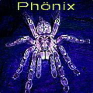 c.PB| Phönix