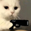 dust2第一深情