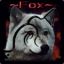 RedFox[and]Black