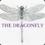 ryry the dragonfly