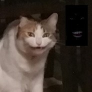 Micha - steam id 76561197963748642
