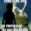 warmturtle1
