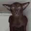 beselbub