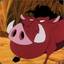 timon