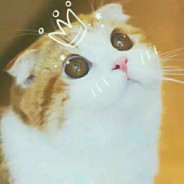 Moriarty