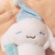 我好喜欢玉桂狗