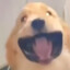 不笑