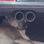 超级无敌酷炫爆炸暴龙神