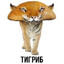 ТИГРИБ
