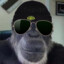 (cool)A monkey