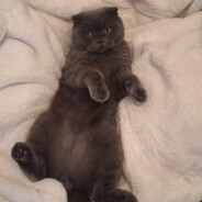 Matgisk - steam id 76561198166558039