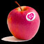 Pink Lady Apple!!!