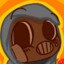 xen