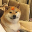 Perrito Endemoniado