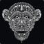 MonkeyBoy
