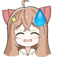 凡 日月所照 江河所至 皆为汉土