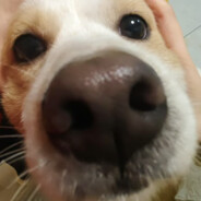 就让本大厨为你烹饪吧