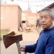 功夫不负有心人