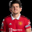 Harry Maguire