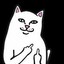 BadBich