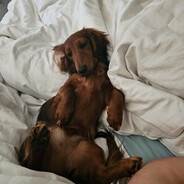 tekfRu - steam id 76561198035268632