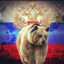 Russian Bear