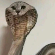 我变成眼镜蛇狠咬柰子